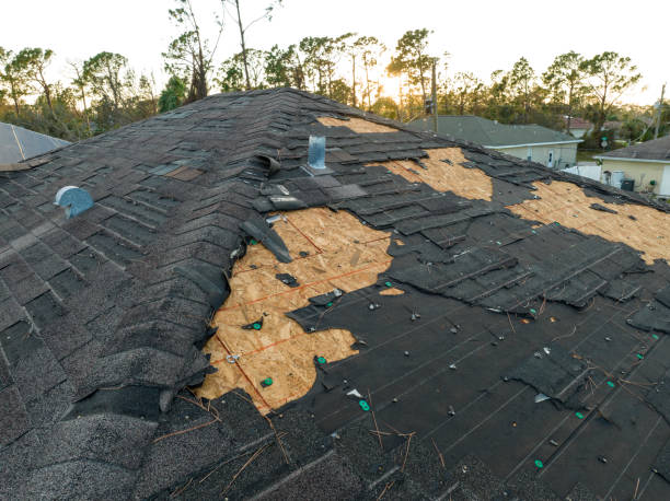 Best Rubber Roofing (EPDM, TPO)  in Chelsea, MI