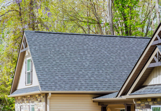 Best Solar Panel Roofing Installation  in Chelsea, MI