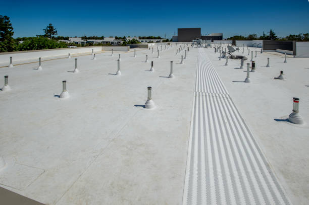 Best Metal Roofing Installation  in Chelsea, MI